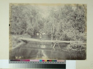 A carrier, walking on a bridge over a river in the forest, Madagascar, ca.1895