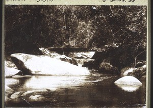 River flowing through forest in Siang country, with a small waterfall