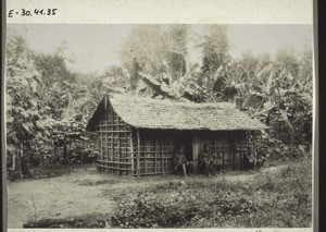 Bakwiri hut, situated between Bombe and Barombi Lake. Women and children, on the left side melon plants