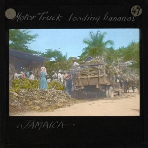 Workers Loading Bananas, Jamaica, ca.1875-ca.1940