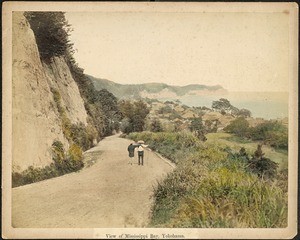 View of Mississippi Bay, Yokohoma