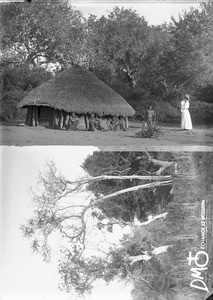 Mrs Borel with a group of African people/Trees, Makulane, Mozambique, ca 1896-1911