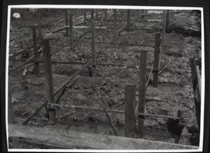 What foundations look like. A tree-trunk is sunk below the ground-water level as a foundation on which the ironwood pillar rests