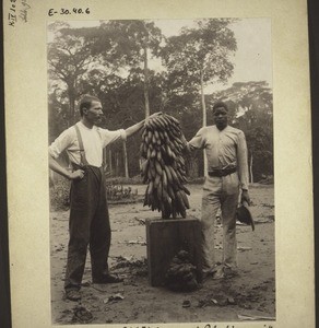 Missionar Schkölziger und Lehrling mit Pisangfrucht 1/2 Ctr. schwer, am Boden Jamsknollen