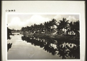 Landscape near Madras