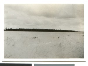 View of a reservoir, South Africa, 1934