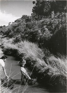 Ambatomanga's boarders, in Madagascar