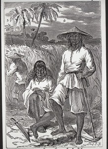 West Indian workers, Chinese