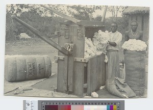 Pressing cotton, Blantyre, Malawi, ca.1910