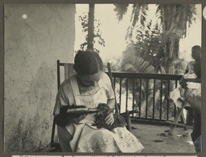 Feeding of a young leopard, Shira, Tanzania, ca.1930-1940