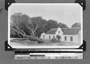 The shop in Mamre, South Africa, 1930