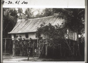 Dajak house on the Katingan (Cf. the report by Schärer 139)