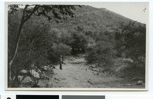 Ravine near Manuane, South Africa, 1932