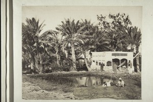 "Fontaine de Moise, Suez."
