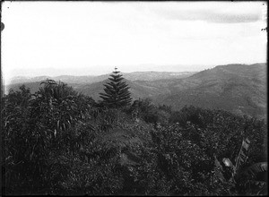 Landscape near Lemana, Limpopo, South Africa, ca. 1906-1907