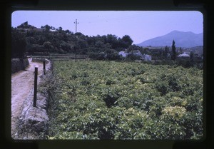 mountains, village