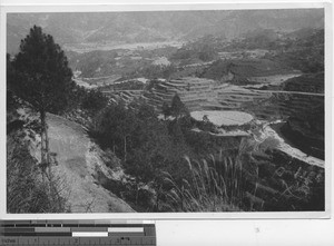 Rice terracing at Dongzhen, China, 1937