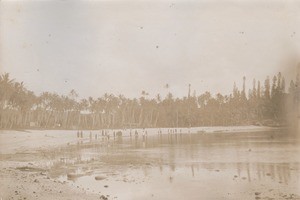 Landscape, in New Caledonia