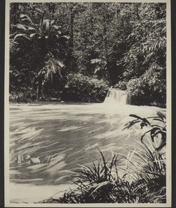 Loak stream. Waterfall in the jungle