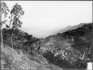 View of the Usambara Mountains seen from Gonja, Tanzania, ca. 1900-1914