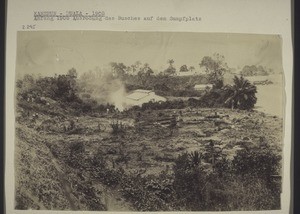 Cameroon, Duala, 1905: Beginning to clear the bush in the marshy area in 1905