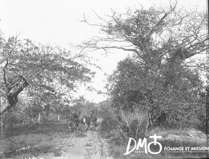 African people on a path, Mozambique, ca. 1896-1911