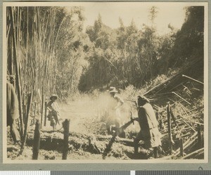 Cutting a road, Eastern province, Kenya, ca.1927