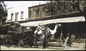 Cart in the Punjab