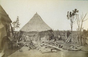 Ivory in Panda-Matenga, Northern Rhodesia, Zambia