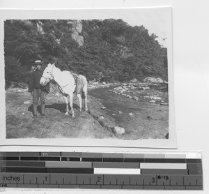 A horse and man at Xinbin, China, 1930