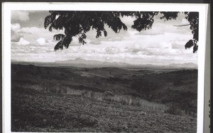 A landscape in the grassfields, in the background the mountains of Fumban