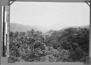 Forest and Rungwe peak, Rungwe, Tanzania, ca. 1898-1914