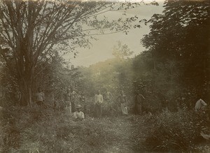 Clearing in the forest, in Gabon