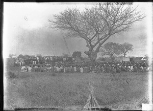 Crowd of people sitting around a tree, Khovo, Maputo, Mozambique