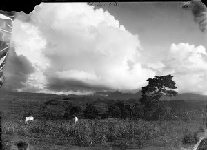 Thick clouds over hilly savanna, Tanzania, ca.1893-1920