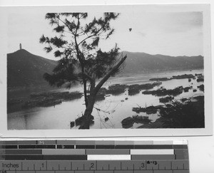 River traffic at Wuzhou, China, 1929