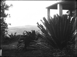 Ch. W. Châtelain, Lemana, Limpopo, South Africa, ca. 1906-1907