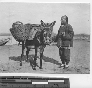 A Chinese man and his donkey at , Beijing, China