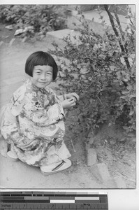 A young Japanese girl picking flowers at Fushun, China, 1936