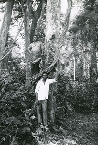 Pupils of Libamba, in Cameroon