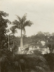 Landscape along the Ogooue river, in Gabon