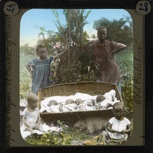 A basket of Twin Babies, Old Calabar, late 19th century