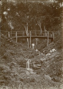 Footbridge, in Gabon