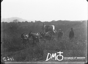 Lenoir family leaving Lemana, South Africa, 1907