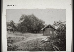 Alte Tamarinden-Allee b. Abokobi