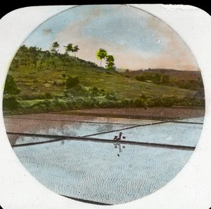 Rice paddies, China, ca. 1920-1940