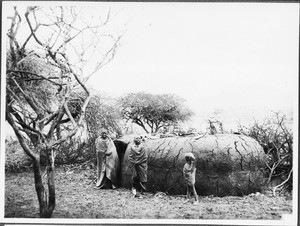 Maasai house, Tanzania, ca. 1927-1938