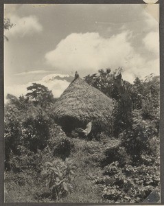 Chagga homestead in a ruinous state, Tanzania