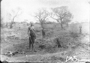 African women ploughing a field, Makulane, Mozambique, October 1901