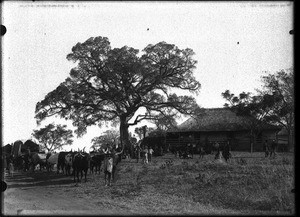 Mission house, Shilouvane, South Africa, ca. 1901-1907